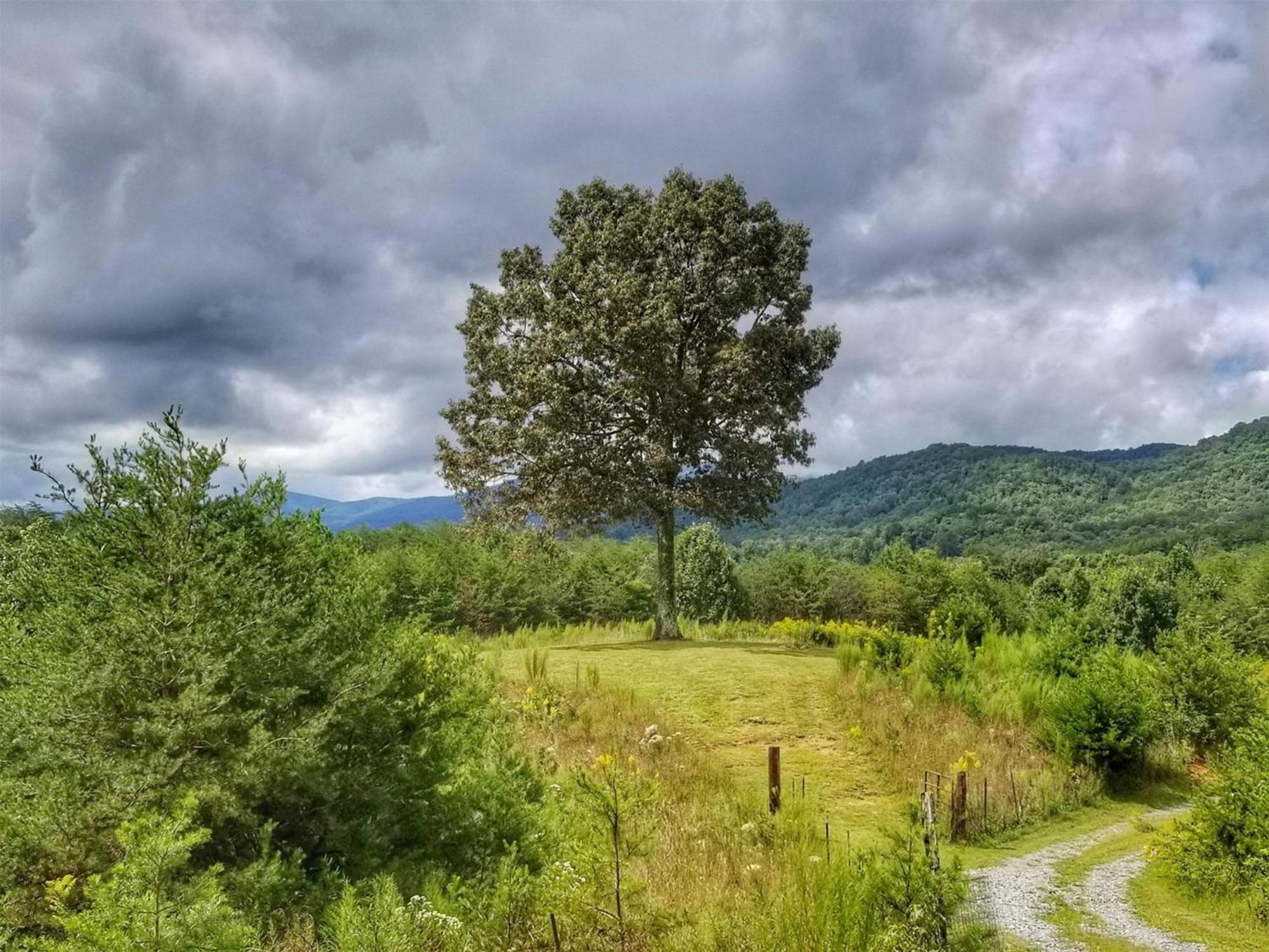 Eula Mae- Ocoee River Area Copperhill Luaran gambar